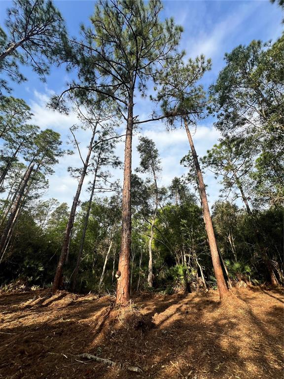 Pantera Lane Naples, FL 34120 - Photo 48 of 49