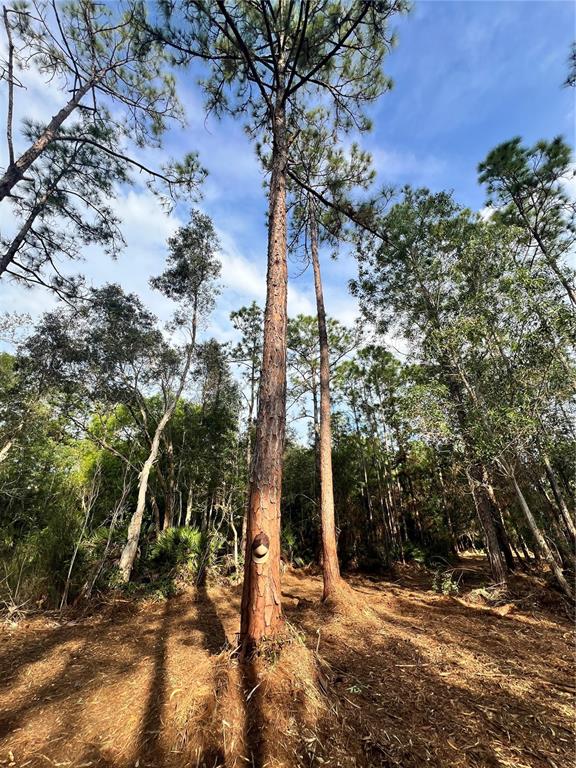 Pantera Lane Naples, FL 34120 - Photo 49 of 49