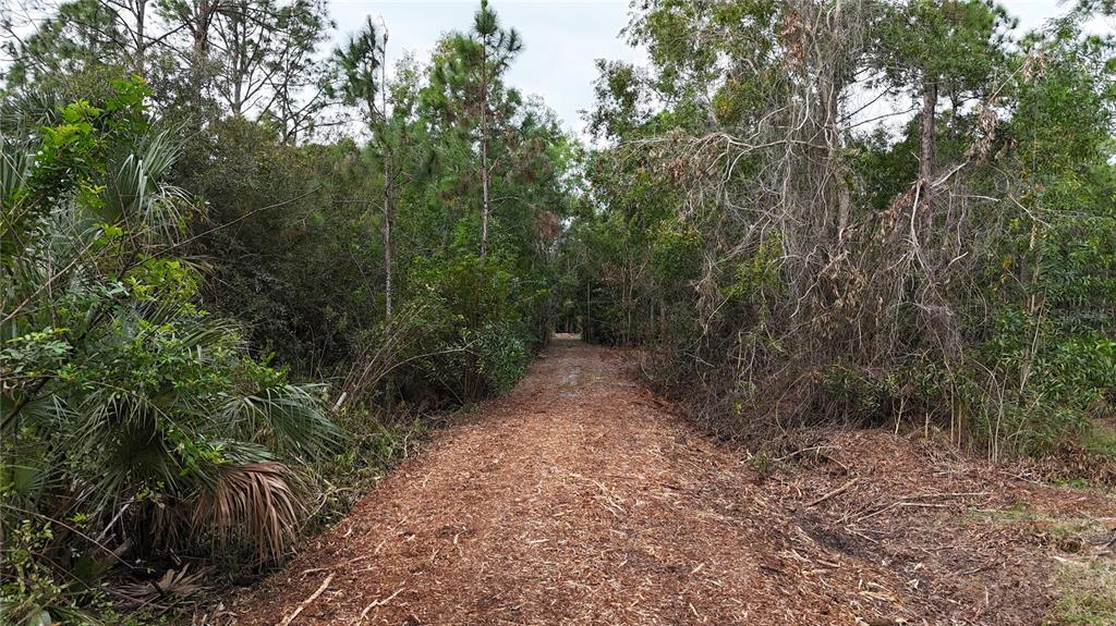 Pantera Lane Naples, FL 34120 - Photo 6 of 49