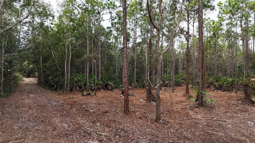 Pantera Lane Naples, FL 34120 - Photo 8 of 49