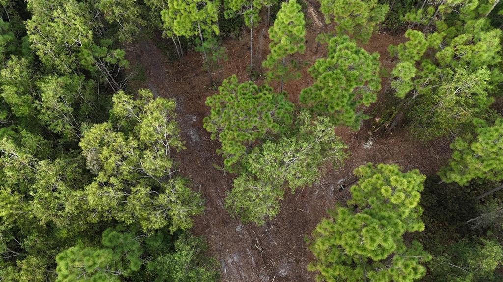 Pantera Lane Naples, FL 34120 - Photo 9 of 49