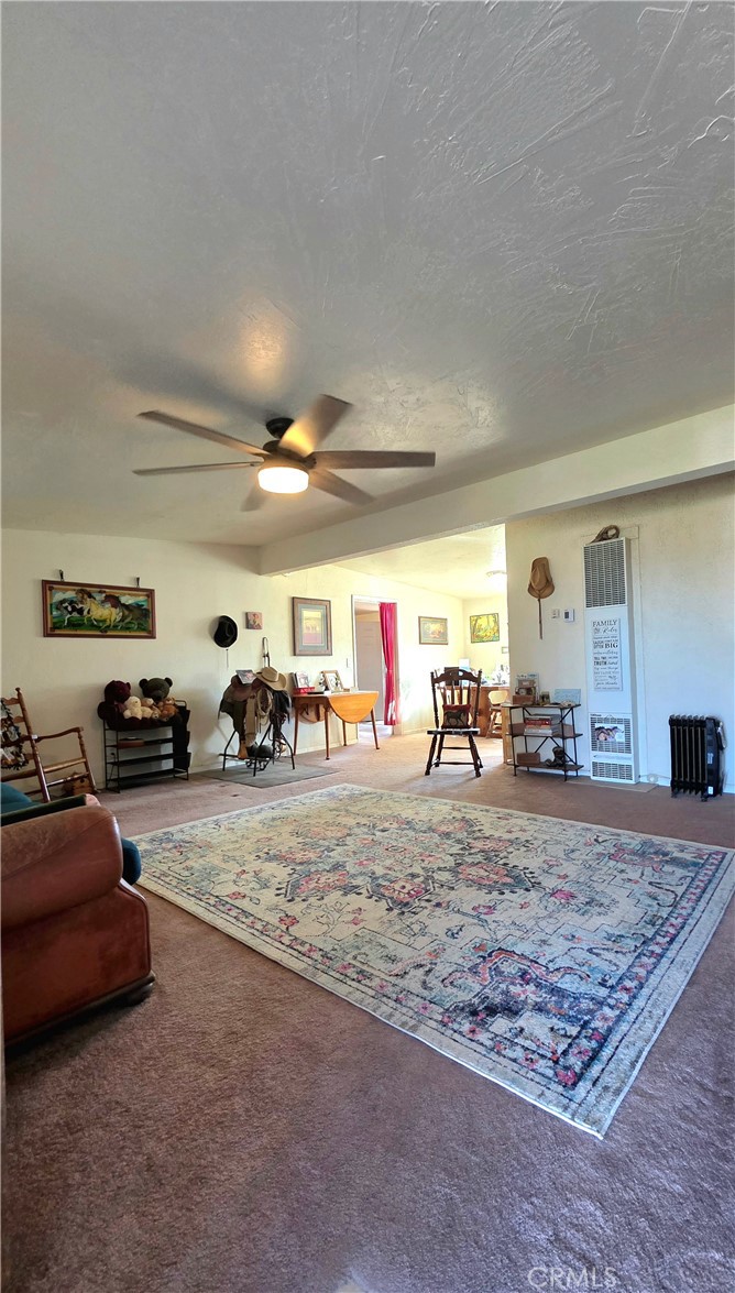 47527 Silver Valley Road Newberry Springs, CA 92365 - Photo 9 of 70