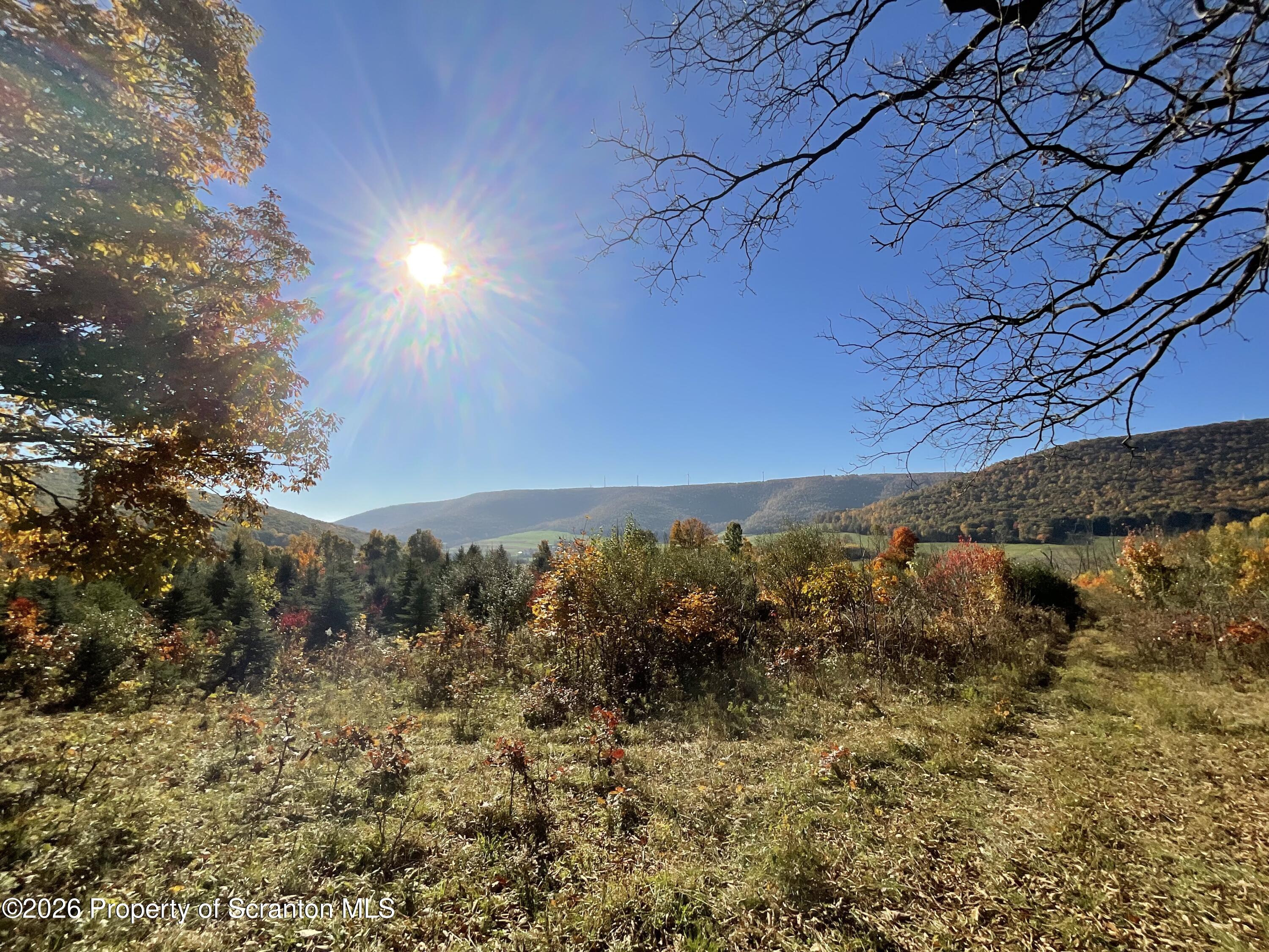 915 Sugar Hollow Road Tunkhannock, PA 18657 - Photo 12 of 48 915 Sugar Hollow