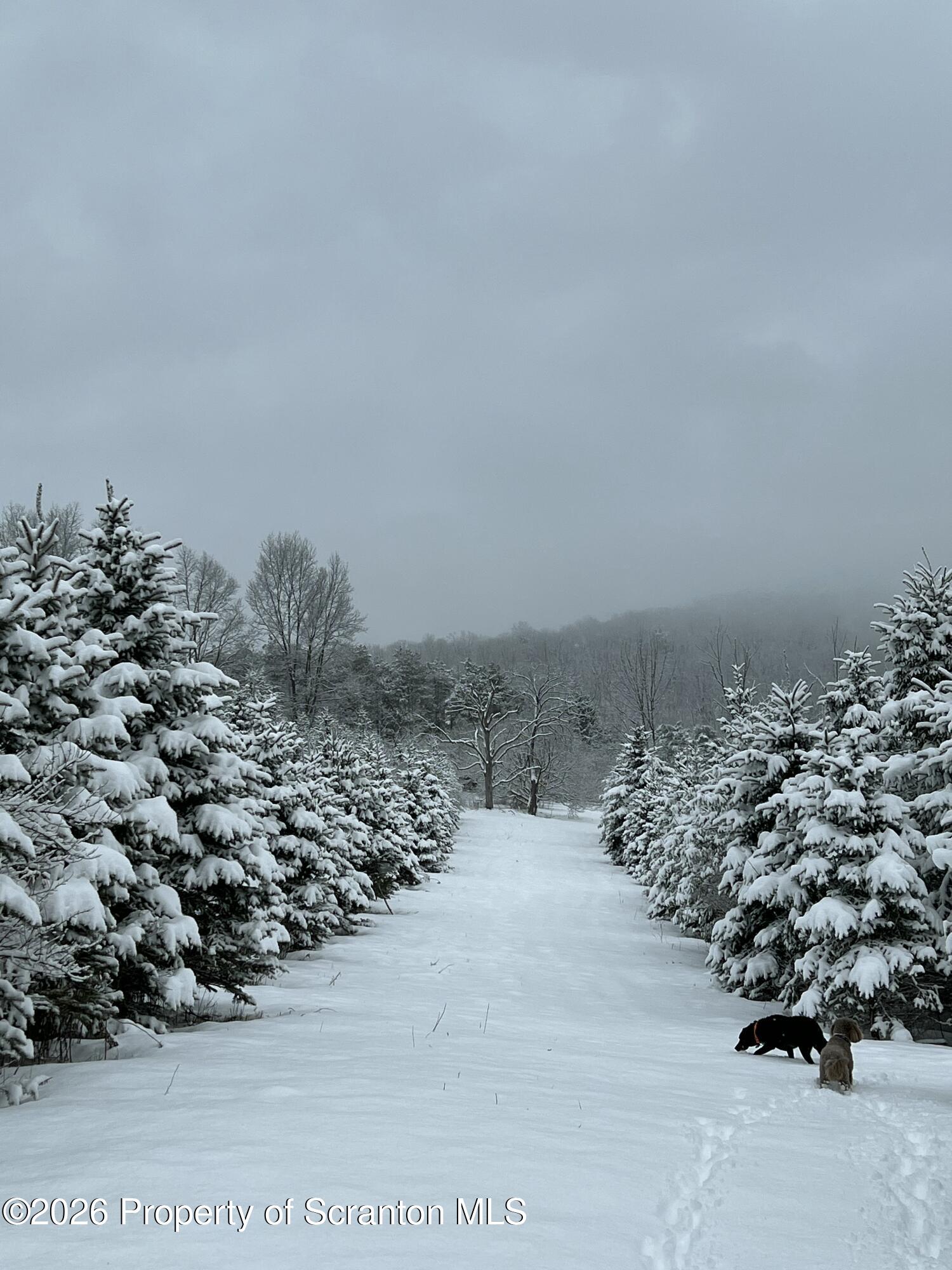 915 Sugar Hollow Road Tunkhannock, PA 18657 - Photo 29 of 48 915 Sugar Hollow