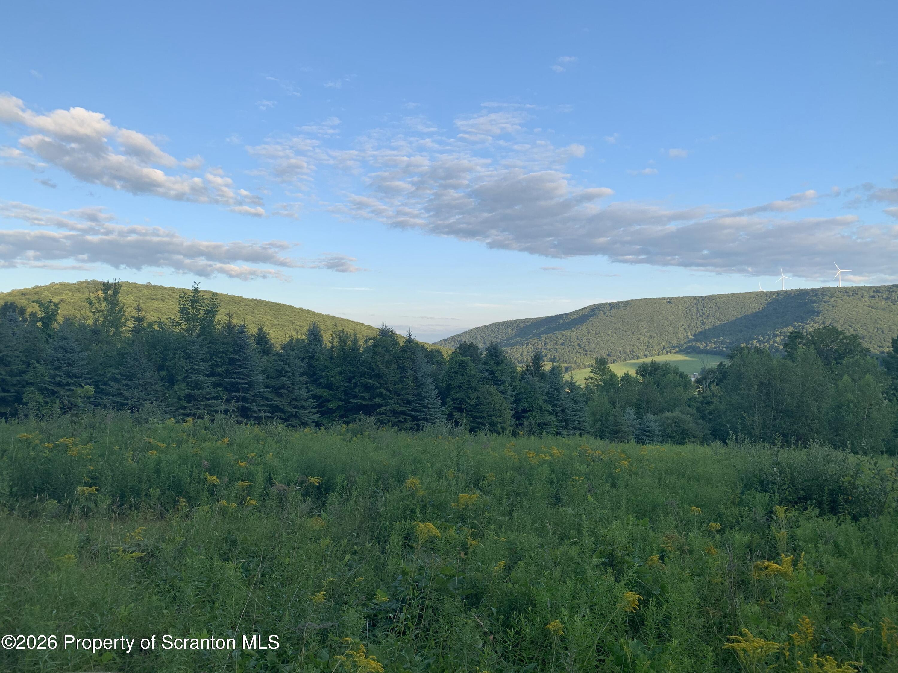 915 Sugar Hollow Road Tunkhannock, PA 18657 - Photo 34 of 48 a view of a lush green space with sea