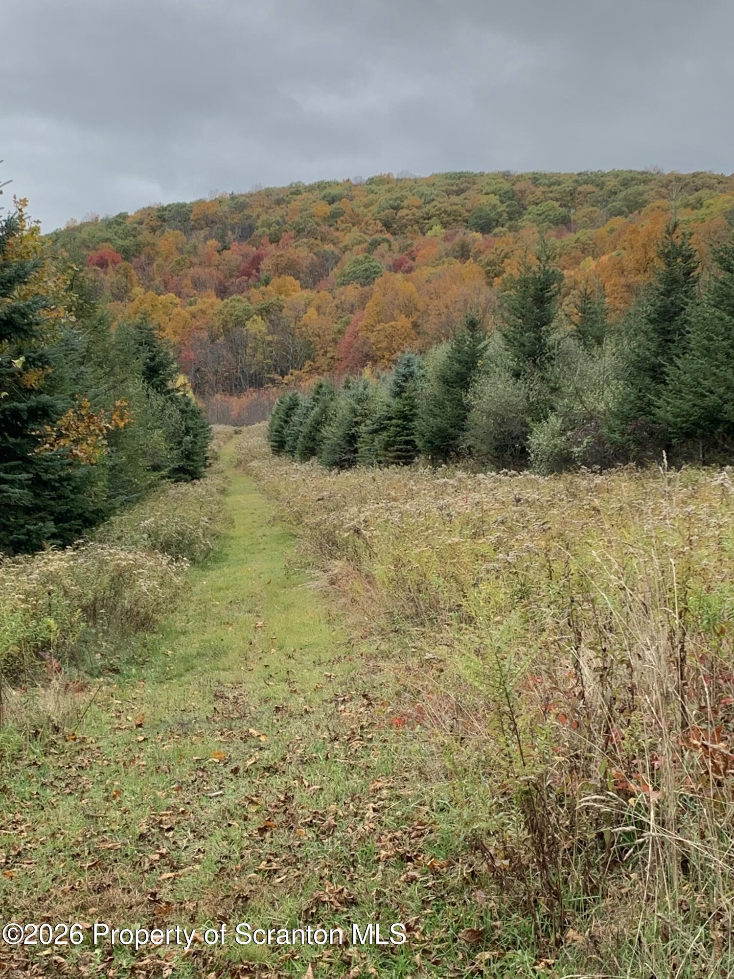 915 Sugar Hollow Road Tunkhannock, PA 18657 - Photo 36 of 48 915 Sugar Hollow