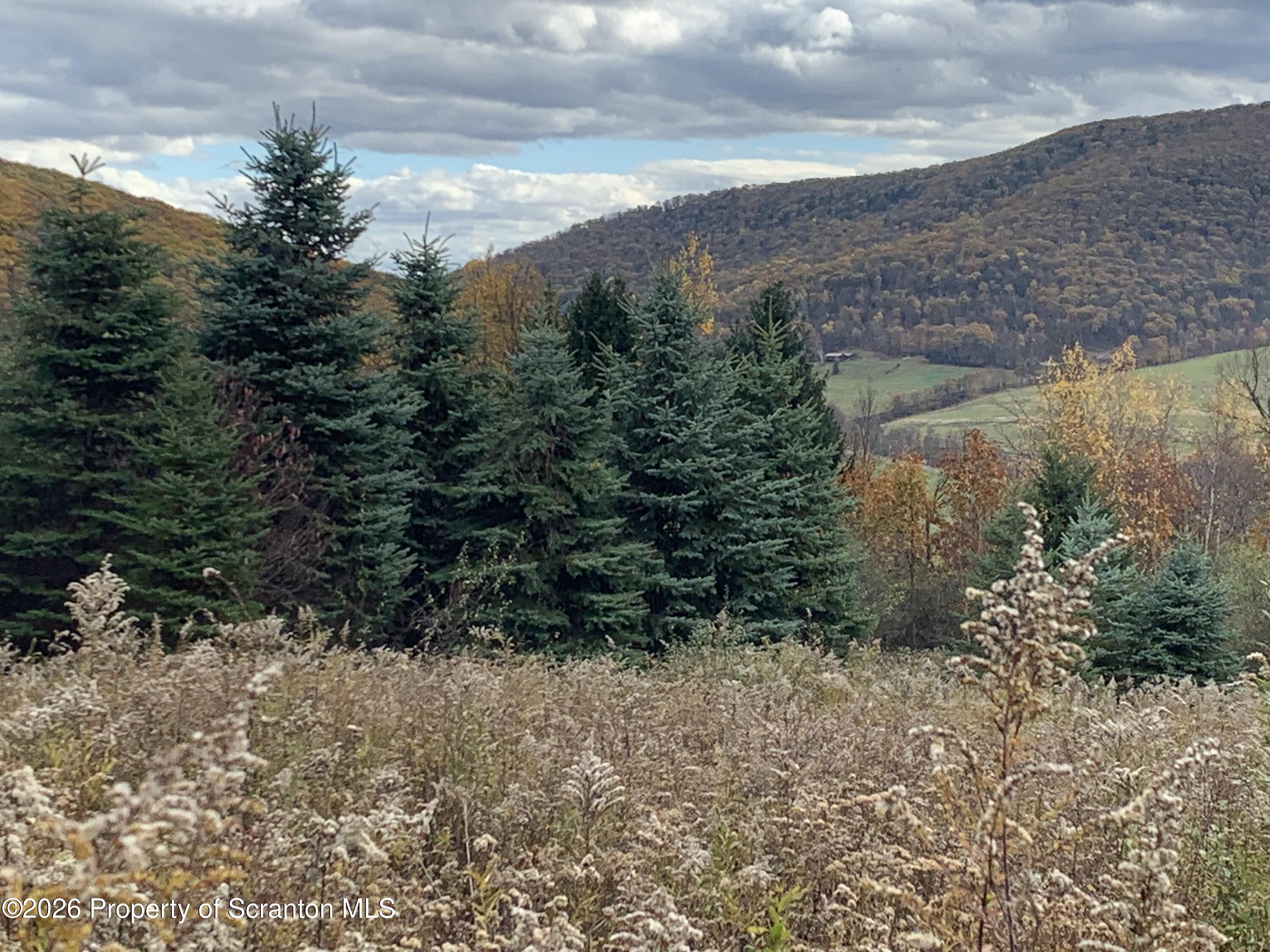 915 Sugar Hollow Road Tunkhannock, PA 18657 - Photo 40 of 48 a view of a yard with plants and a bench