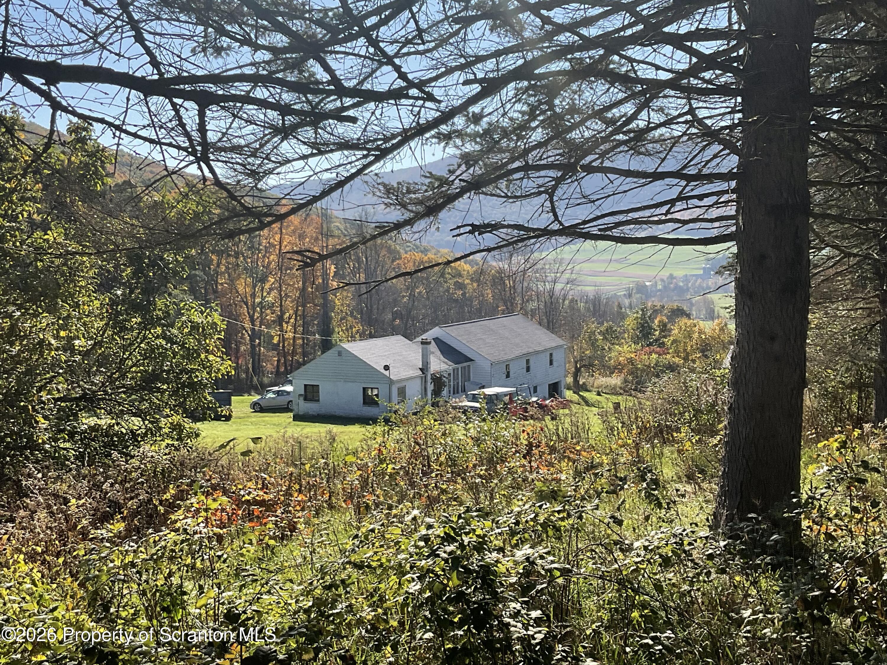 915 Sugar Hollow Road Tunkhannock, PA 18657 - Photo 6 of 48 a backyard of a house with large trees and plants