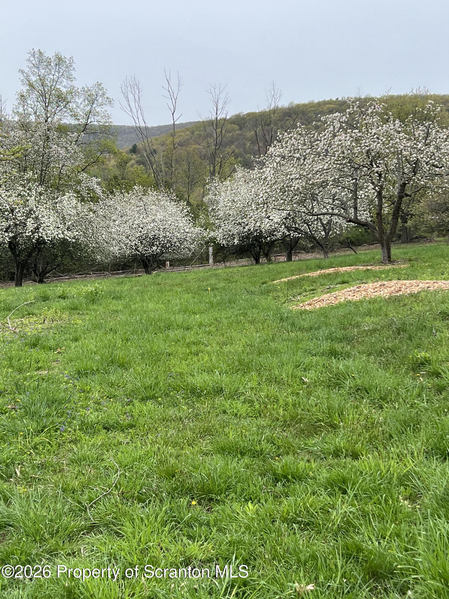 915 Sugar Hollow Road Tunkhannock, PA 18657 - Photo 9 of 48 915 Sugar Hollow
