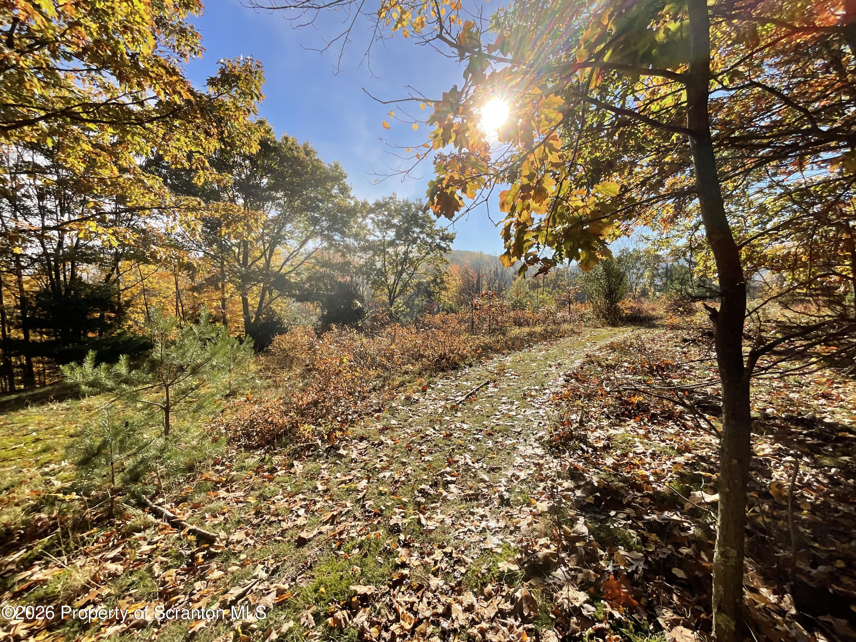 915 Sugar Hollow Road Tunkhannock, PA 18657 - Photo 10 of 48 915 Sugar Hollow
