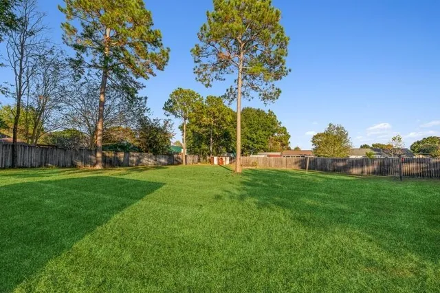 a view of a park with large trees