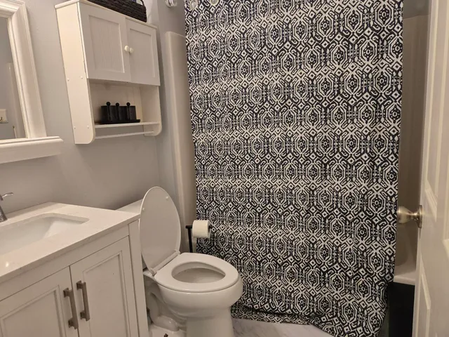 a bathroom with a sink and a toilet