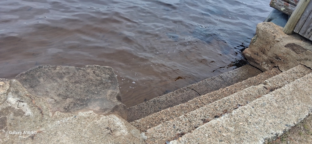 a close up of a rock