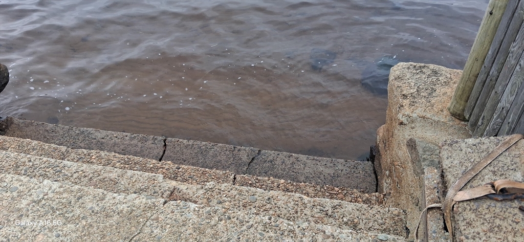 0 Island Road Lakeville, MA 02347 - Photo 2 of 8 a view of wooden floor