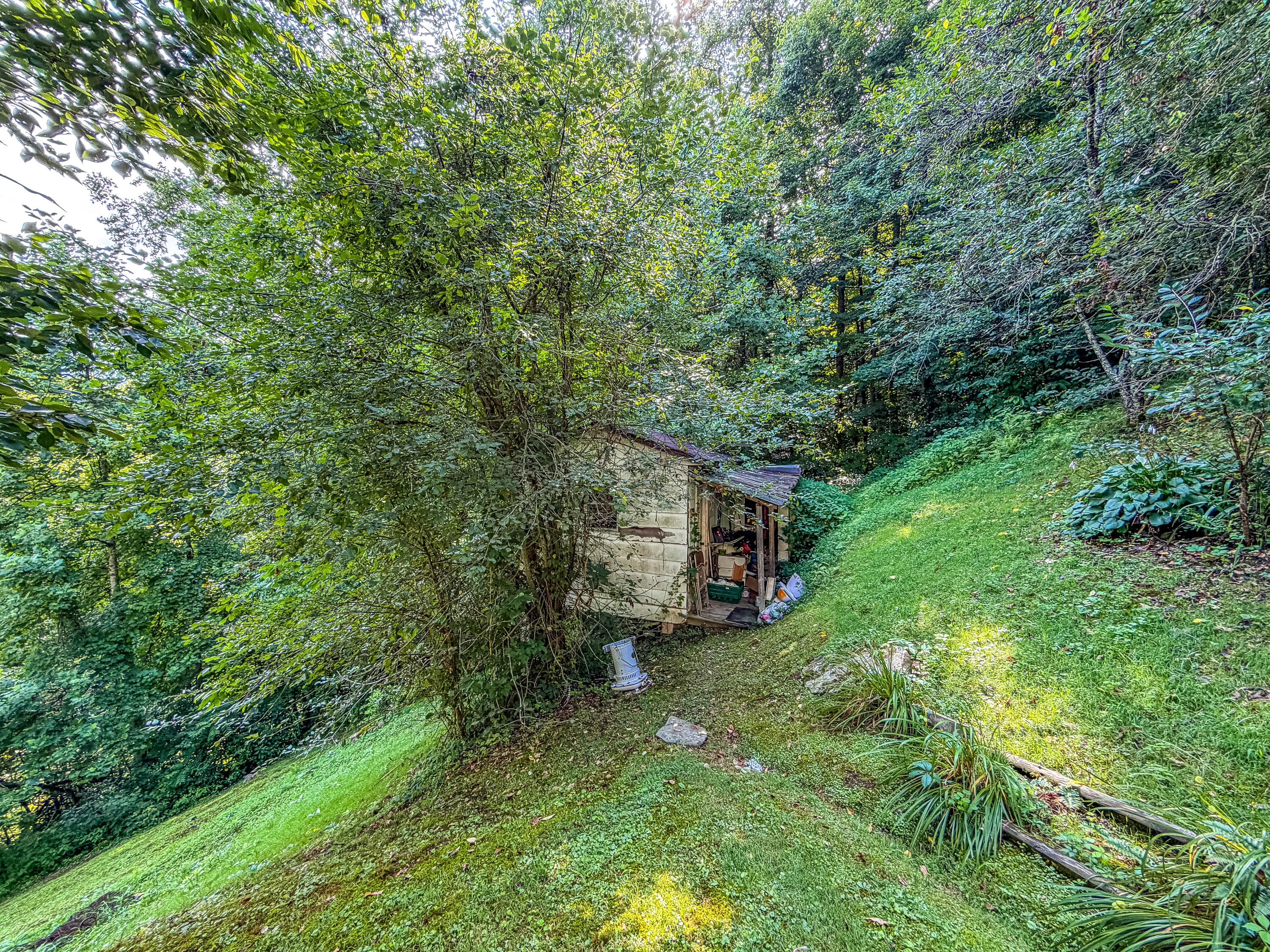 299 George Neil Hill Road Pineville, KY 40977 - Photo 2 of 37 LightroomRealEstateEdits-2