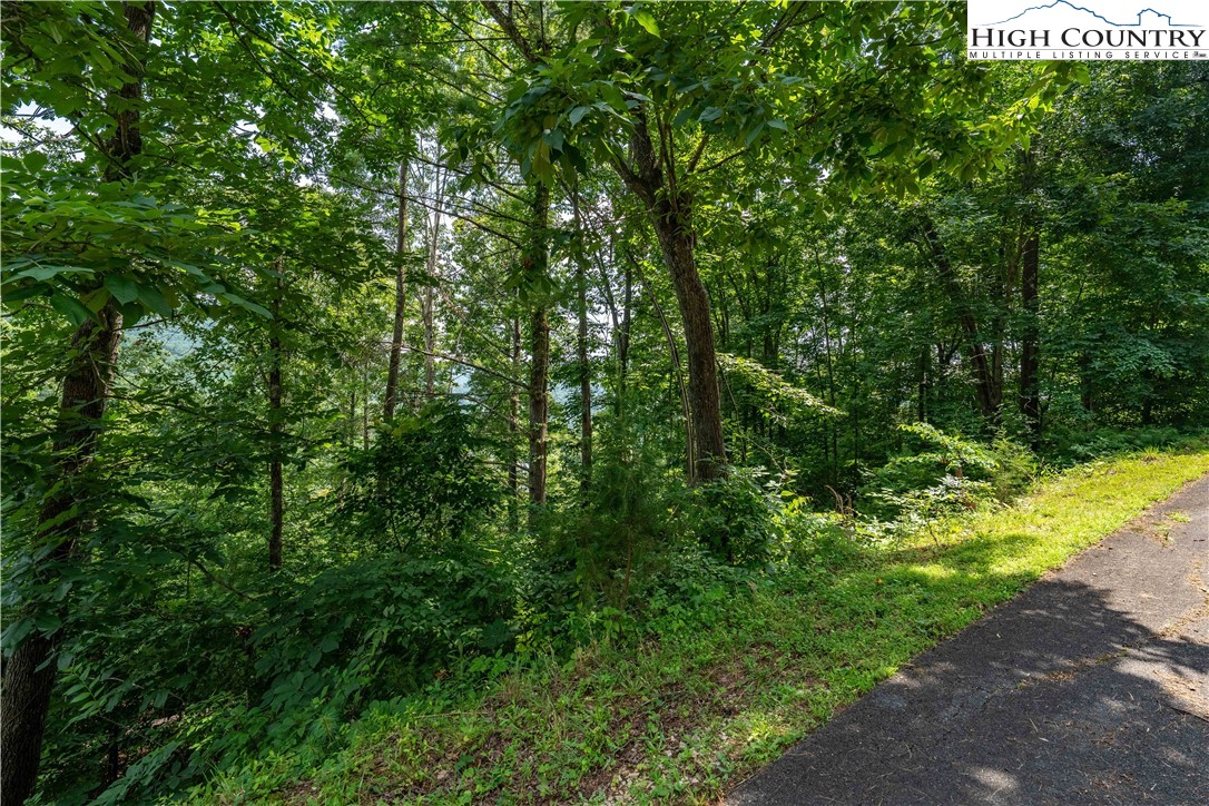 Lot 5 Lake Ridge Butler, TN 37640 - Photo 21 of 24