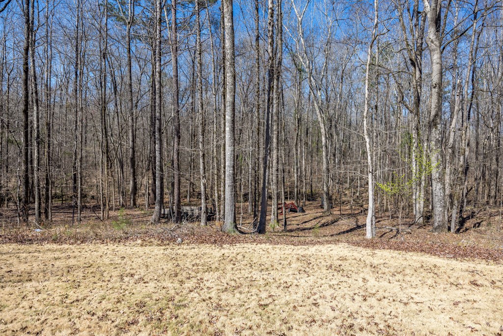 4100-2 Almond Road Fortson, GA 31808 - Photo 49 of 57 Gallery Image 49