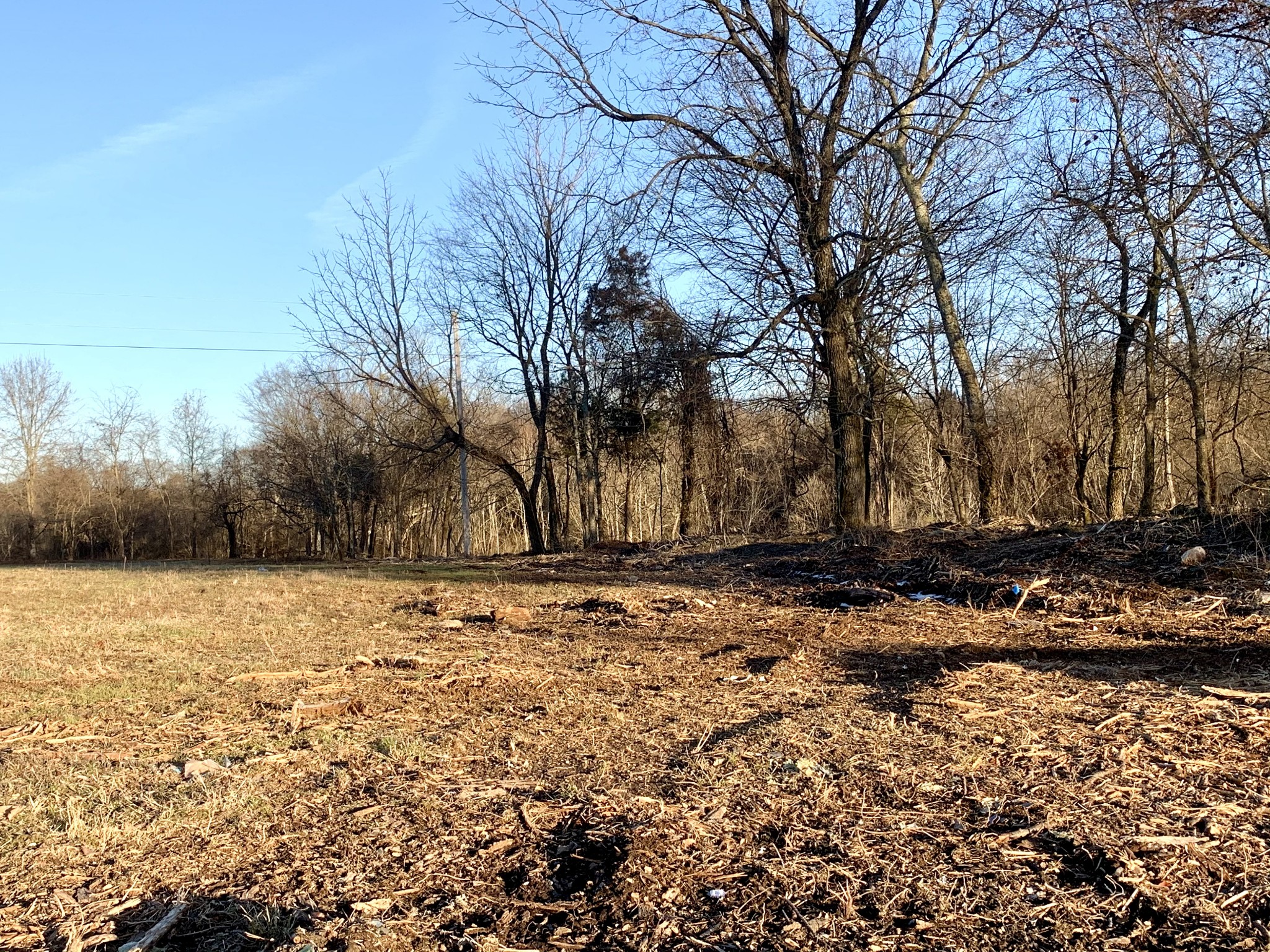 1438 Littleton Ranch Road Castalian Springs, TN 37031 - Photo 2 of 17 Gallery Image 2