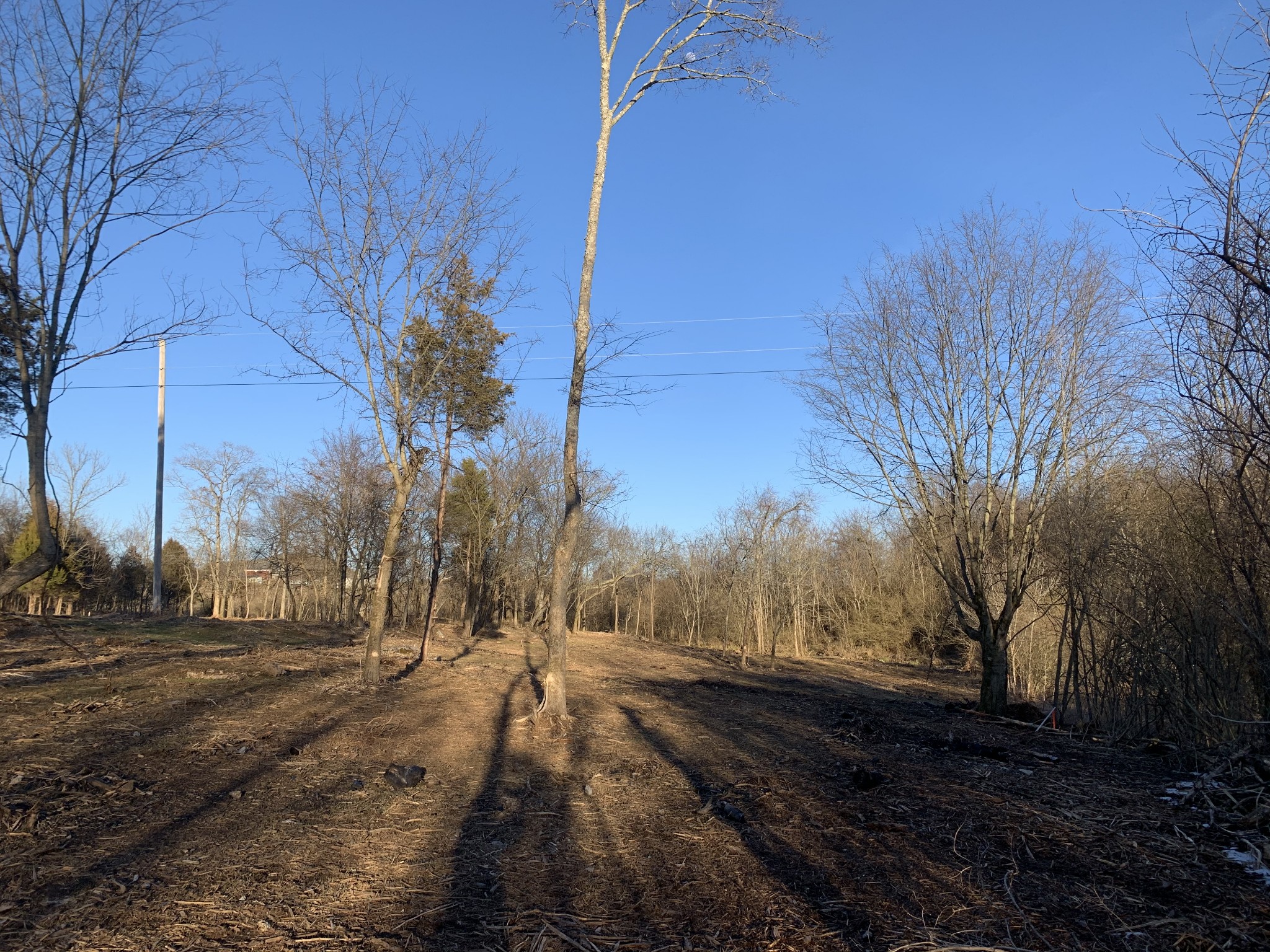 1438 Littleton Ranch Road Castalian Springs, TN 37031 - Photo 15 of 17 Gallery Image 15