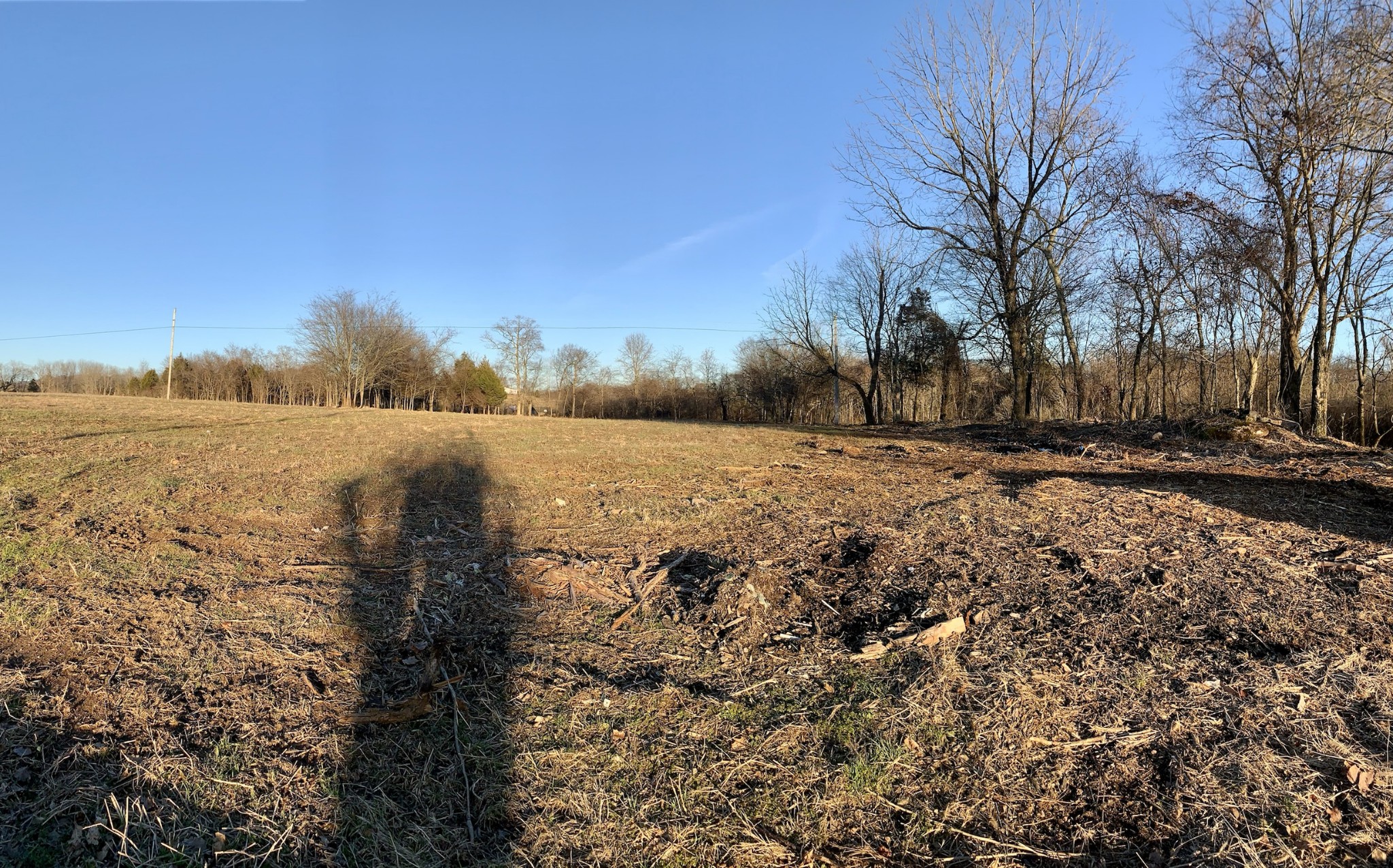 1438 Littleton Ranch Road Castalian Springs, TN 37031 - Photo 3 of 17 Gallery Image 3