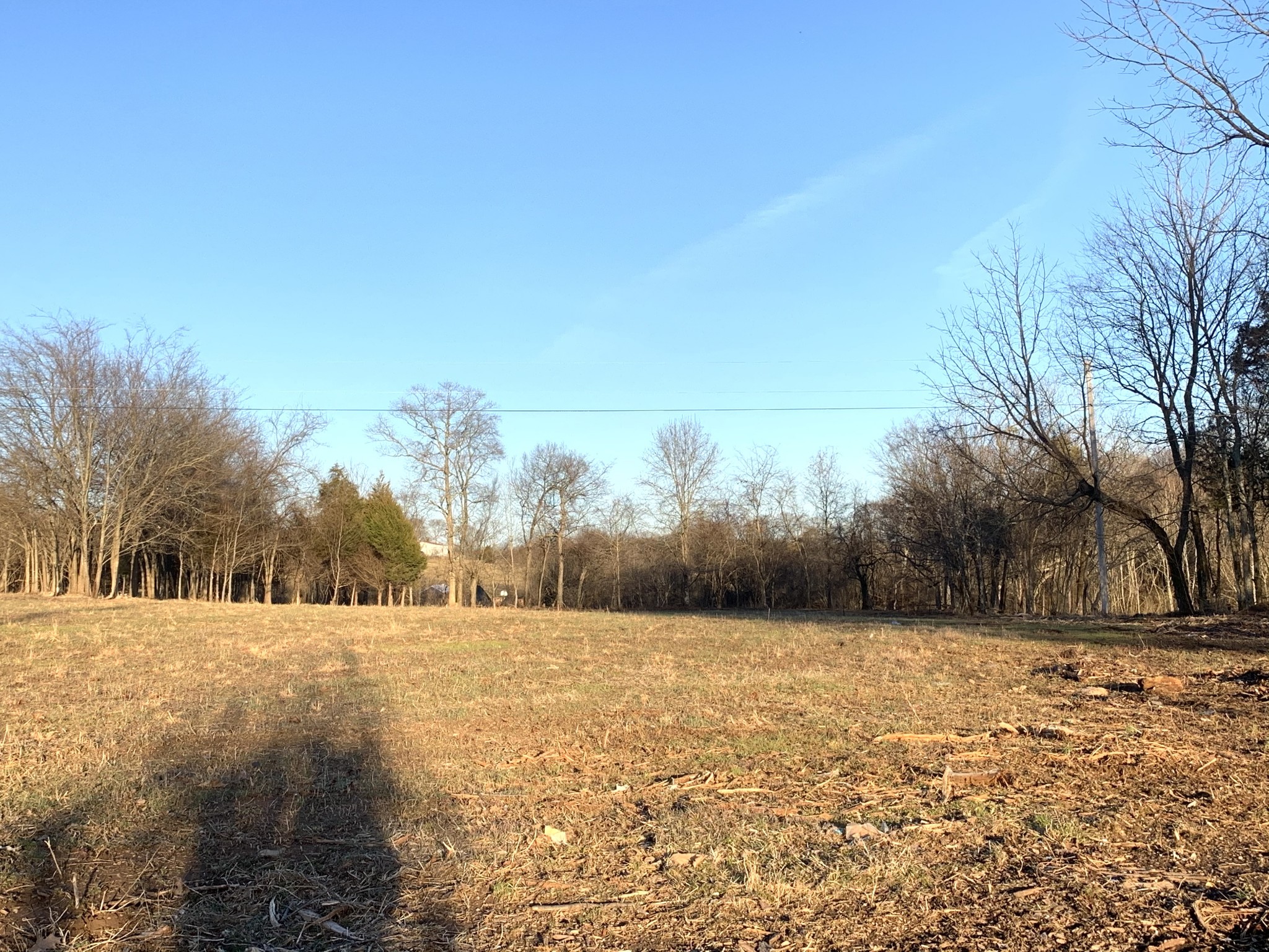 1438 Littleton Ranch Road Castalian Springs, TN 37031 - Photo 5 of 17 Gallery Image 5