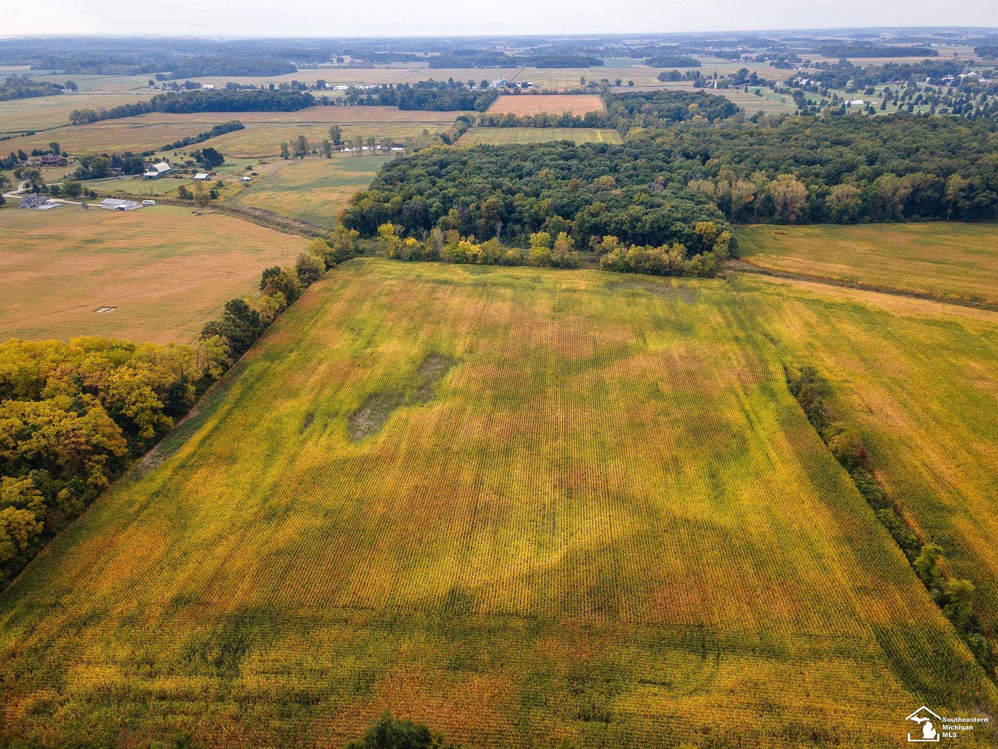 4555 South Custer Road Monroe, MI 48161 - Photo 8 of 18
