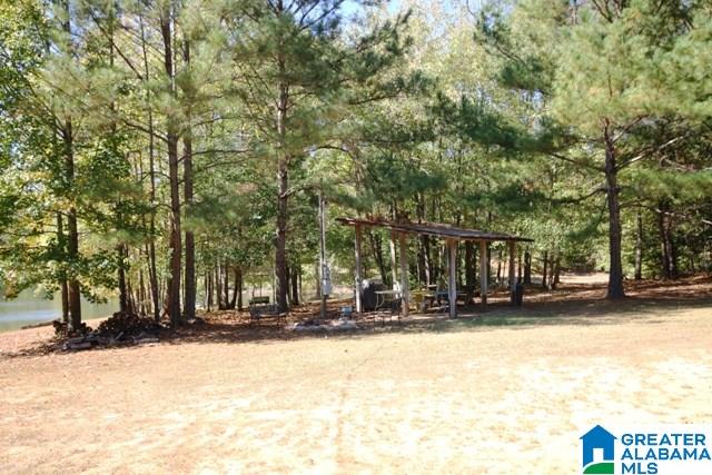 0 County Road 928, Unit 19 Delta, AL 36258 - Photo 42 of 43