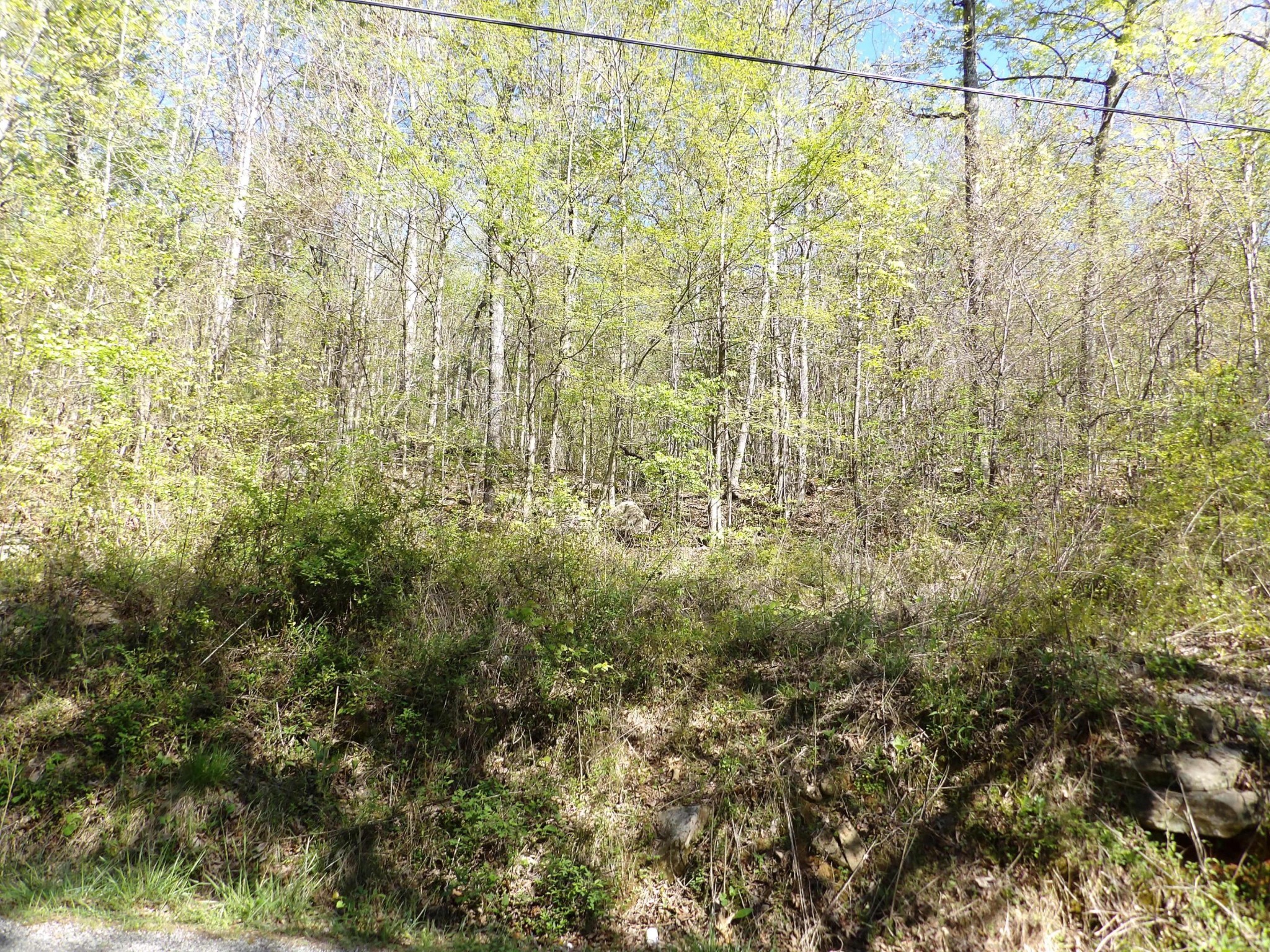 10900 Mullins Cove Road Whitwell, TN 37397 - Photo 9 of 25 Gallery Image 9