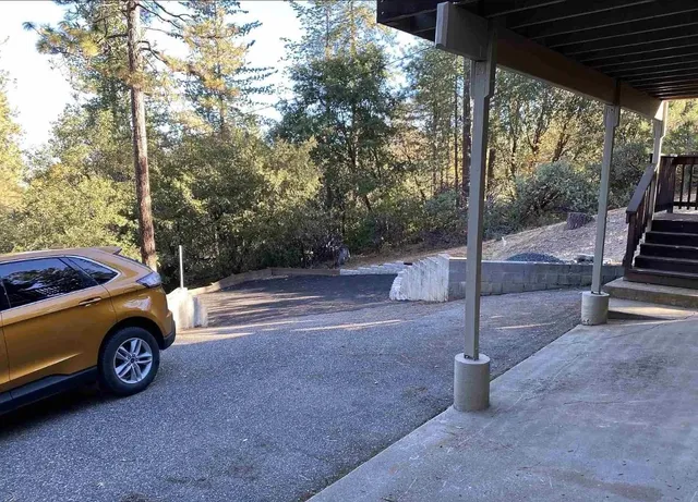 a view of a yard with an tree