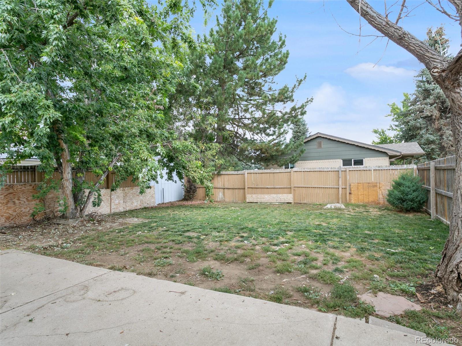 4615 Field Street Wheat Ridge, CO 80033 - Photo 17 of 39 a view of a backyard with large trees