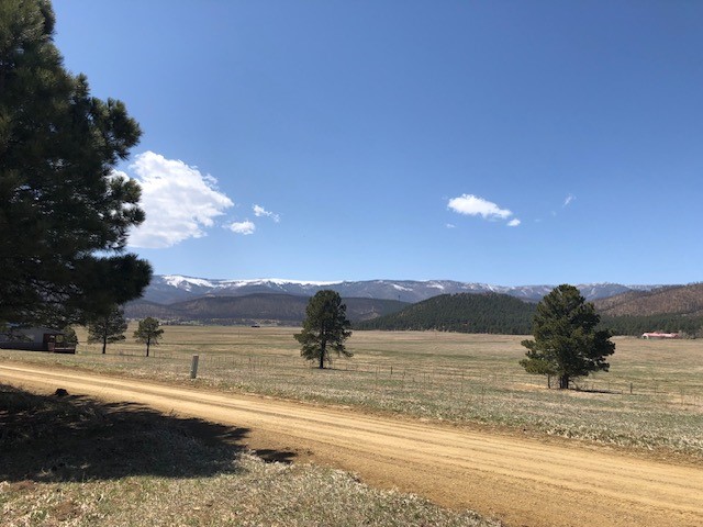 Lot 65 Patron Road Rociada, NM 87742 - Photo 6 of 14