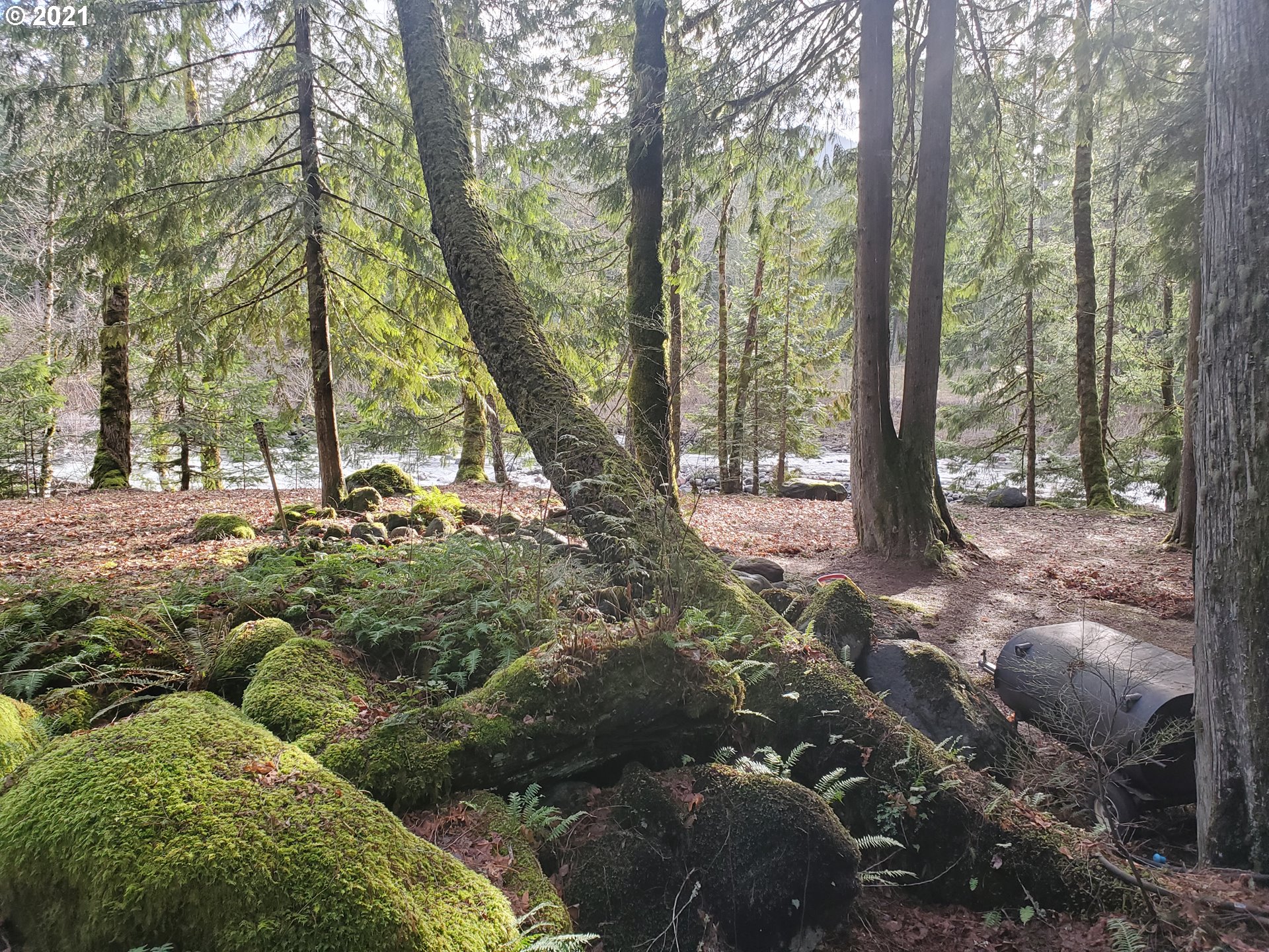 23704 East Cedar Point Court Rhododendron, OR 97049 - Photo 22 of 25