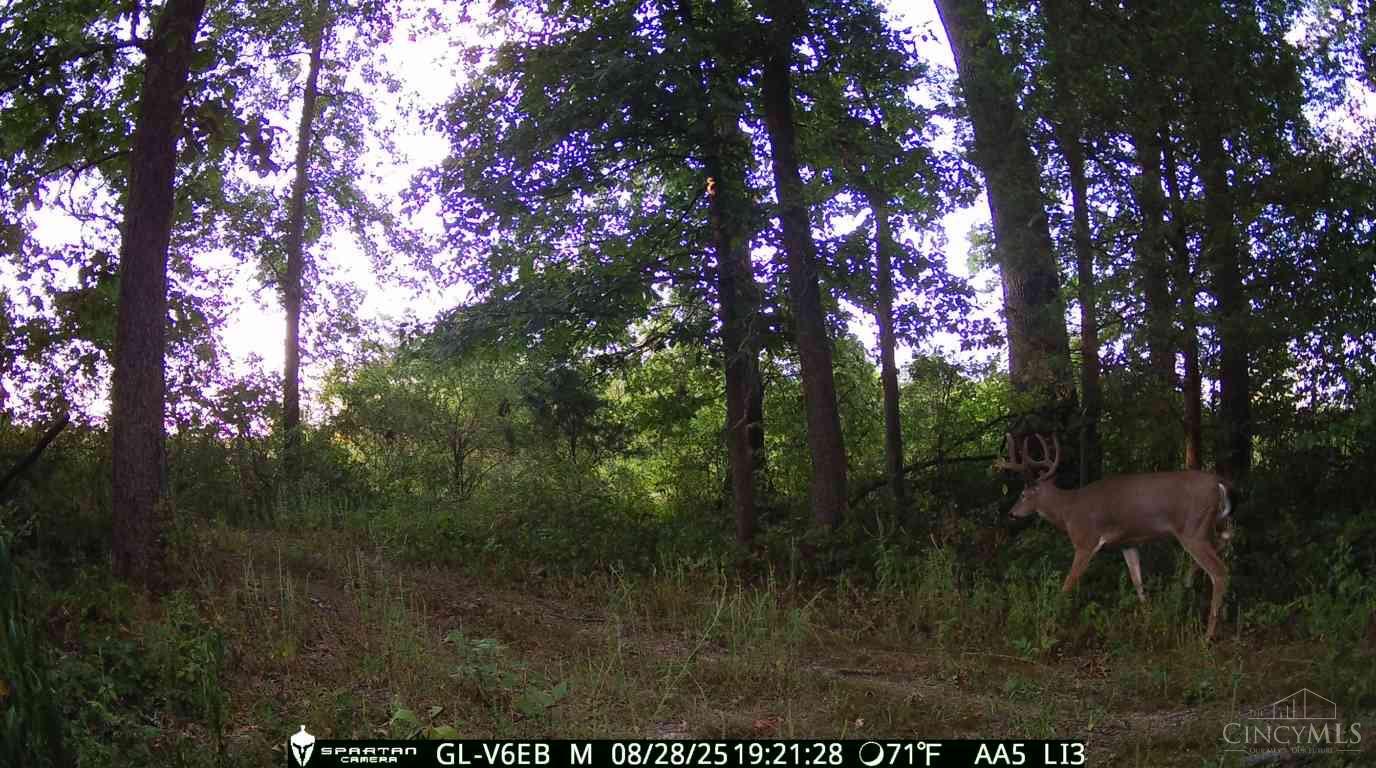 0 Harriet Road Hillsboro, OH 45133 - Photo 32 of 96