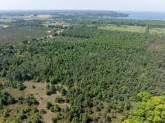 Lot 4 Scandia Road Sister Bay, WI 54234 - Photo 9 of 13