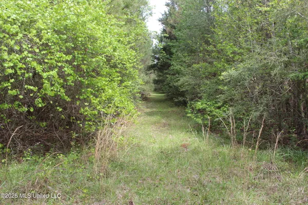 $100,800 | Charlie Boyd Road, Jayess, MS 39641