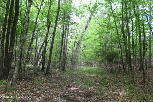 $100,800 | Charlie Boyd Road, Jayess, MS 39641