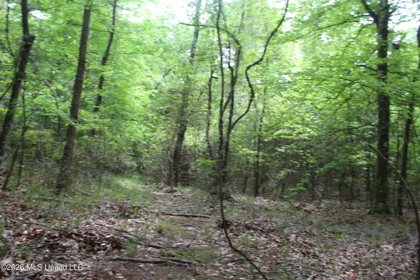 $100,800 | Charlie Boyd Road, Jayess, MS 39641