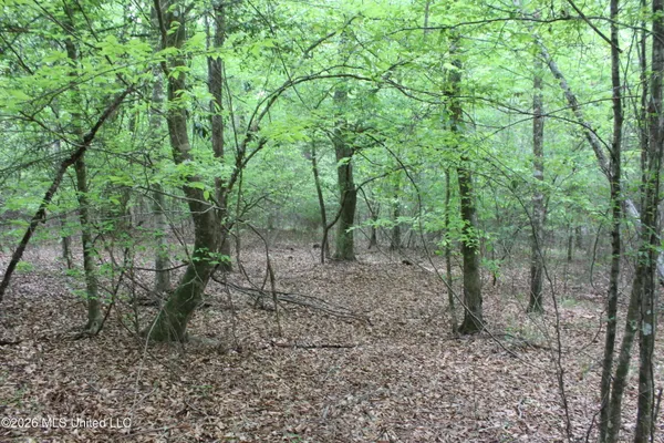 $100,800 | Charlie Boyd Road, Jayess, MS 39641