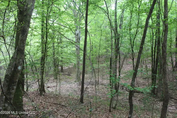 $100,800 | Charlie Boyd Road, Jayess, MS 39641