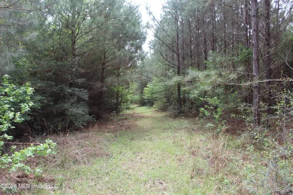 $100,800 | Charlie Boyd Road, Jayess, MS 39641