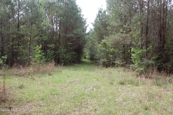 $100,800 | Charlie Boyd Road, Jayess, MS 39641