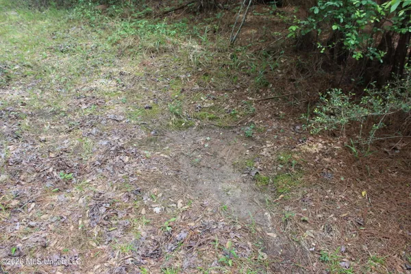 $100,800 | Charlie Boyd Road, Jayess, MS 39641