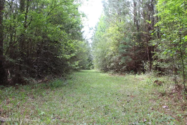 $100,800 | Charlie Boyd Road, Jayess, MS 39641