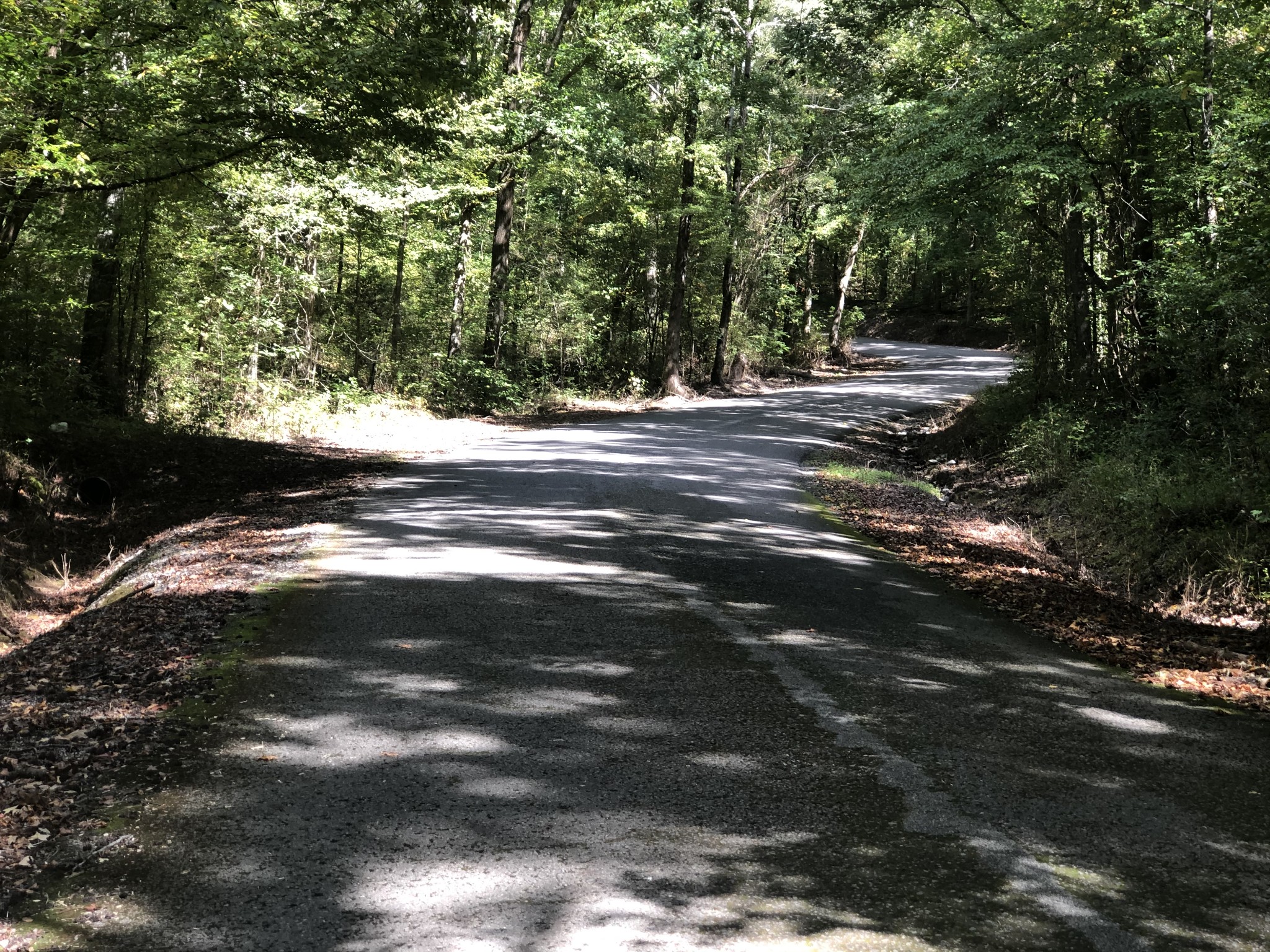 0 Paul Hackworth Road Whitwell, TN 37397 - Photo 14 of 29 Gallery Image 14