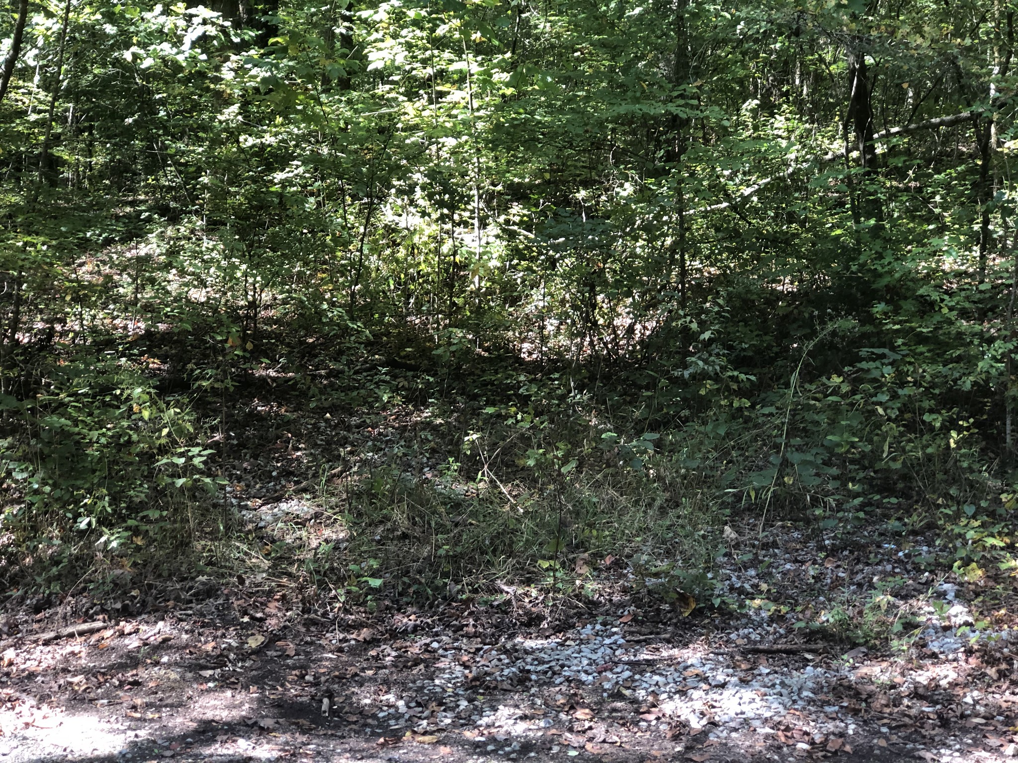 0 Paul Hackworth Road Whitwell, TN 37397 - Photo 20 of 29 Gallery Image 20