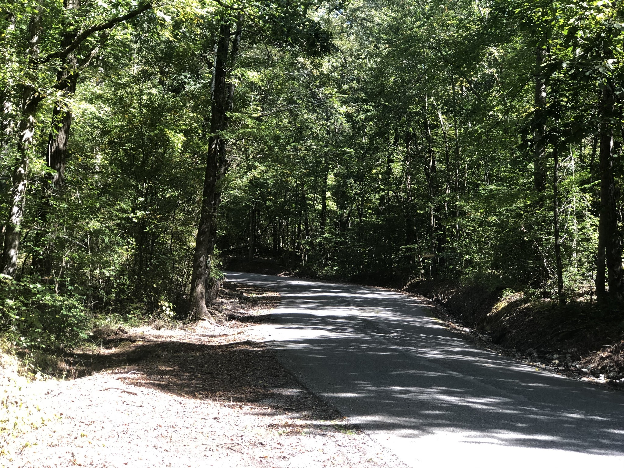 0 Paul Hackworth Road Whitwell, TN 37397 - Photo 9 of 29 Gallery Image 9