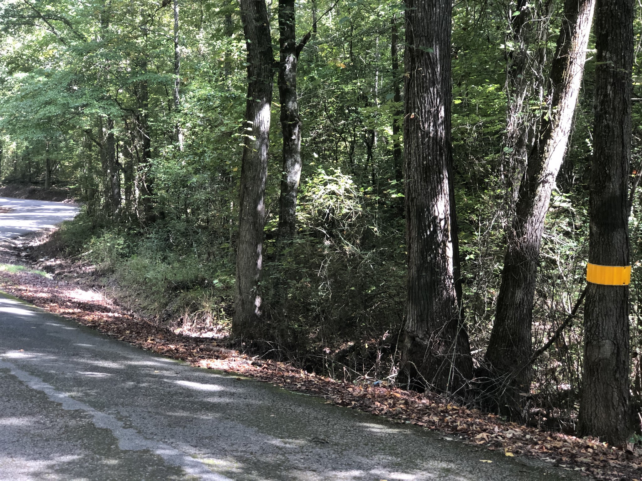 0 Paul Hackworth Road Whitwell, TN 37397 - Photo 10 of 29 Gallery Image 10