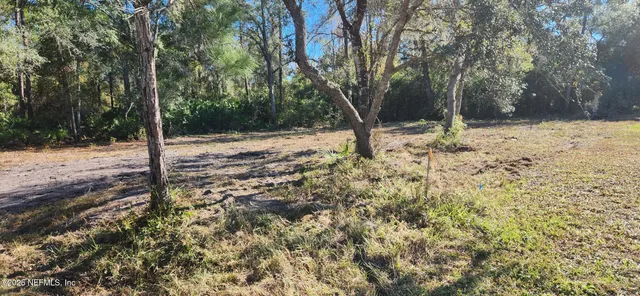 a view of a backyard of snow