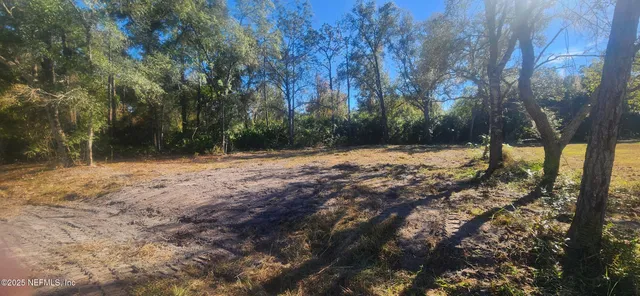 a view of a yard with trees
