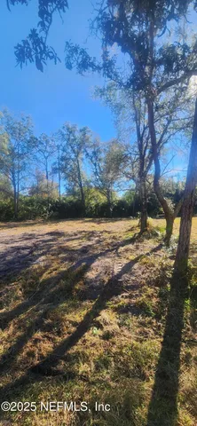 a view of a yard with a tree
